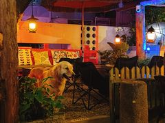 -城墙外BAR