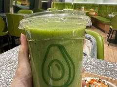 -油梨树AVOCADO TREE(望京店)
