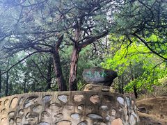 -北京鹫峰国家森林公园