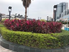 -珠海拱北口岸