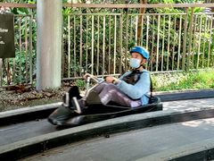 -圣淘沙天际线斜坡滑车