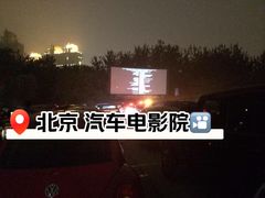 -枫花园汽车电影院(朝阳公园店)