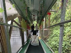 -仙岛湖旅游风景区