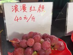 -马陆小张葡萄园农家乐