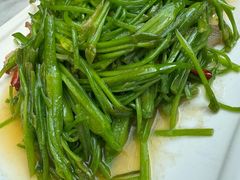 腌肉炒海菜-蔼若春.传承云南菜(金碧公园店)