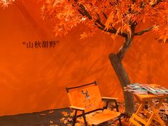 -布兰兔的植物庄园(杭州南宋御街店)