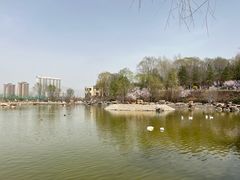 -青藏高原野生动物园