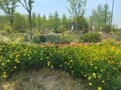 -上海长兴岛郊野公园