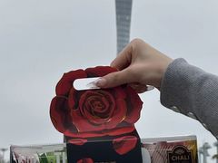 -黑手制面·Gentle Pasta(国金天地店)