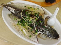 -区海鸡场饭店(石壁店)