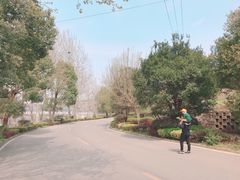 -木兰云雾山