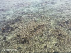 -三亚西岛海洋文化旅游区