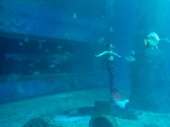 -北戴河圣蓝海洋公园