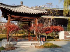 -莲花池公园