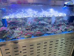 -徐记小怪兽肉蟹煲(中央大街店)
