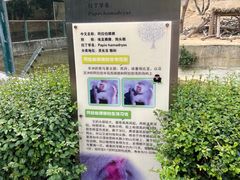 -泉州海丝野生动物世界