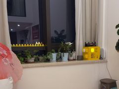 -八号公馆·老上海SPA(深圳北站店)