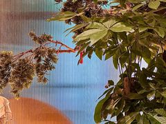 -香港狮子山下·明星粤菜餐厅(北苑店)