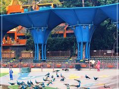 -西双版纳原始森林公园