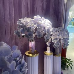 -孔雀手美甲美睫护理