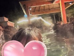 -汉拿山温泉度假酒店