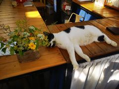 -北马山庄植趣咖啡