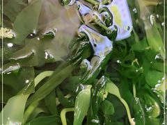 -坛南湾阿强农家乐.海鲜大排档老字号(福州地标美食店)
