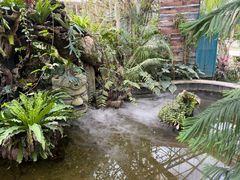 -石家庄市植物园