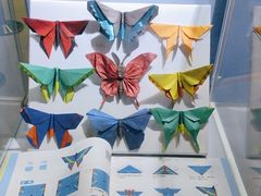 -上海昆虫博物馆