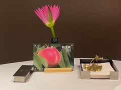 -许家菜.艺创菜(仁和新城店)