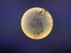 -璞禅足道(观音桥旗舰店)