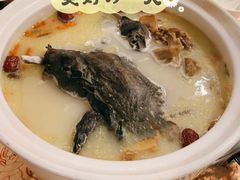 药膳-钦善斋(武侯祠店)