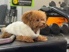 -FEELINGME乐刻私教馆·健身(沿海赛洛城店)