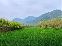 -秦岭风景区