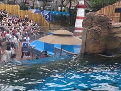 -广州海洋馆