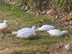 -HERRE·FARM 赫尔露营农场·团建聚会包场