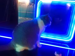 -暗楼·剧本杀·桌游