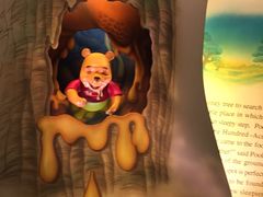 -小熊维尼历险之旅