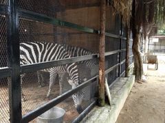 iphone_upload_pic-东湖公园