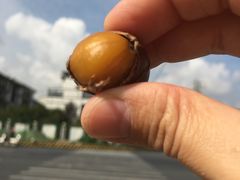 -阿男野栗王(金门路店)