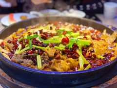 -老板恋上鱼(恒隆广场店)