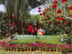 -海南热带野生动植物园