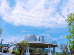 -龙坞茶村