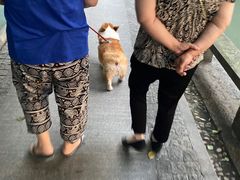 -汪保来(杭州解放路店)