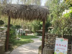 -林间山庄