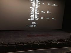 -深影国际影城(学院南路店CGS中国巨幕店)