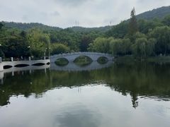 -大连植物园