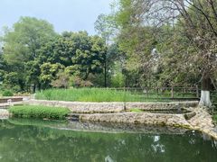 -成都市活水公园