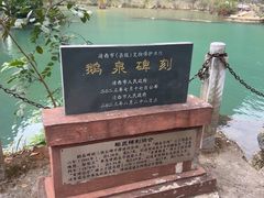 -靖西鹅泉风景区