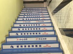 -瑞鹏宠物医院·爱宠堂·骨外专科(西荷分院)